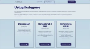 Realizacja BiuroMeritum.Com.Pl #2