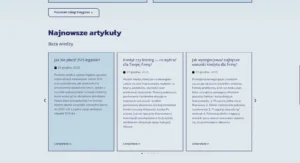 Realizacja BiuroMeritum.Com.Pl #4